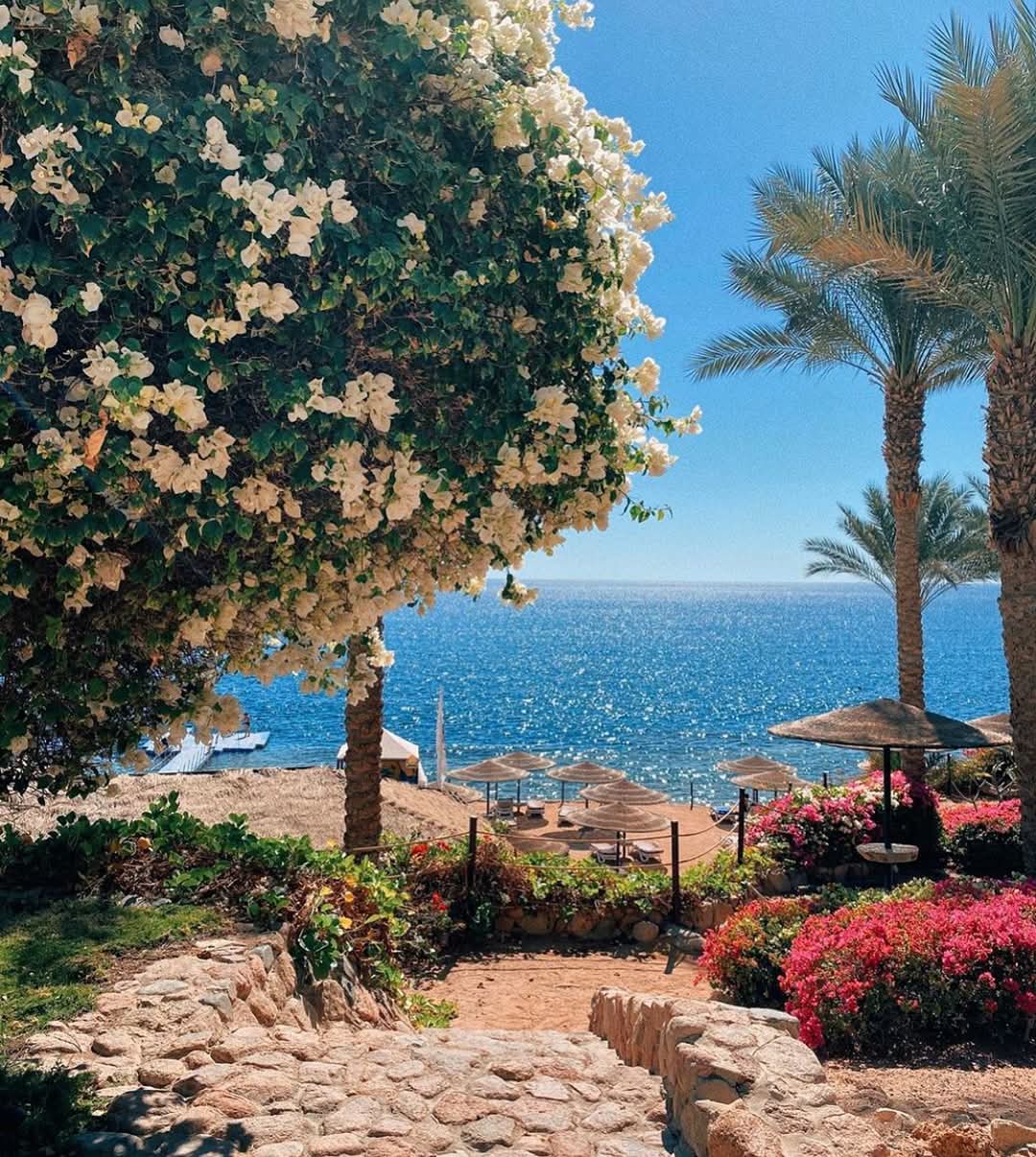 Grand Rotana Resort Spa Hotel